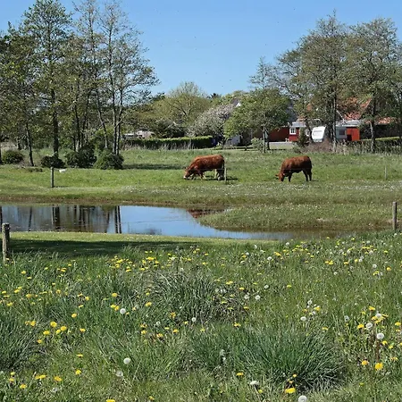 6 Person In Veslos-by Traum * Oslos